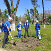 Сотрудники «Росводоканала Краснодара» высадили Аллею памяти в честь 80-летия Победы в Армавире 