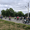 В Армавире 250 горожан стали участниками велопарада «Маршрут здоровья» 