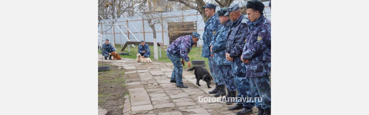 Команда кинологов СИЗО-2 Армавира заняла 2 место на первенстве УФСИН