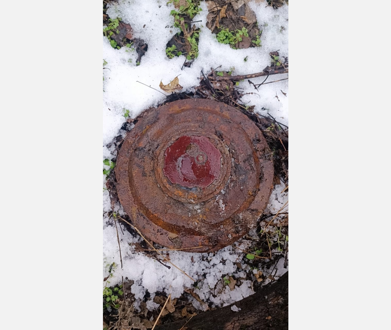 Учебную противотанковую мину обнаружили в лесном массиве парка «Городская роща» в Армавире 