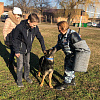 В Армавире школьники пришли на экскурсию в кинологическую службу полиции 