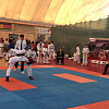 В Армавир бороться за Кубок краевой Федерации тхэквондо МФТ приехали 313 спортсменов
