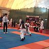 В Армавир бороться за Кубок краевой Федерации тхэквондо МФТ приехали 313 спортсменов