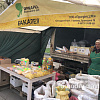 В Армавире в 2024 году на ярмарках было продано более 1295 тонн продукции