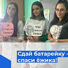 В региональном проекте «Сдай батарейку - спаси ёжика!» приняли участие 300 волонтёров Армавира  