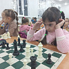 В Армавире 80 дошкольников приняли участие в традиционном турнире по быстрым шахматам 