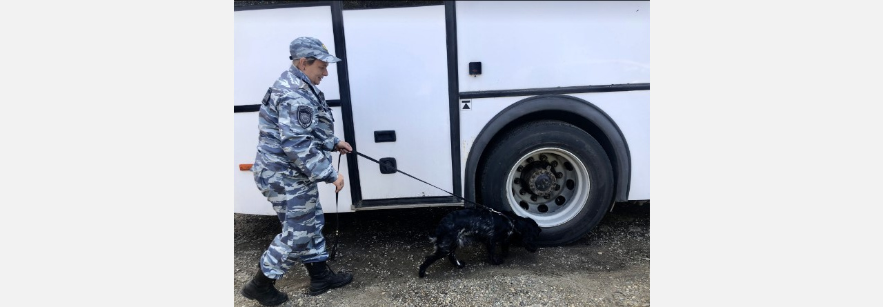 Осужденному увеличили срок на 3,5 года за угрозы и нецензурную брань в адрес руководства ИК-4 Армавира 