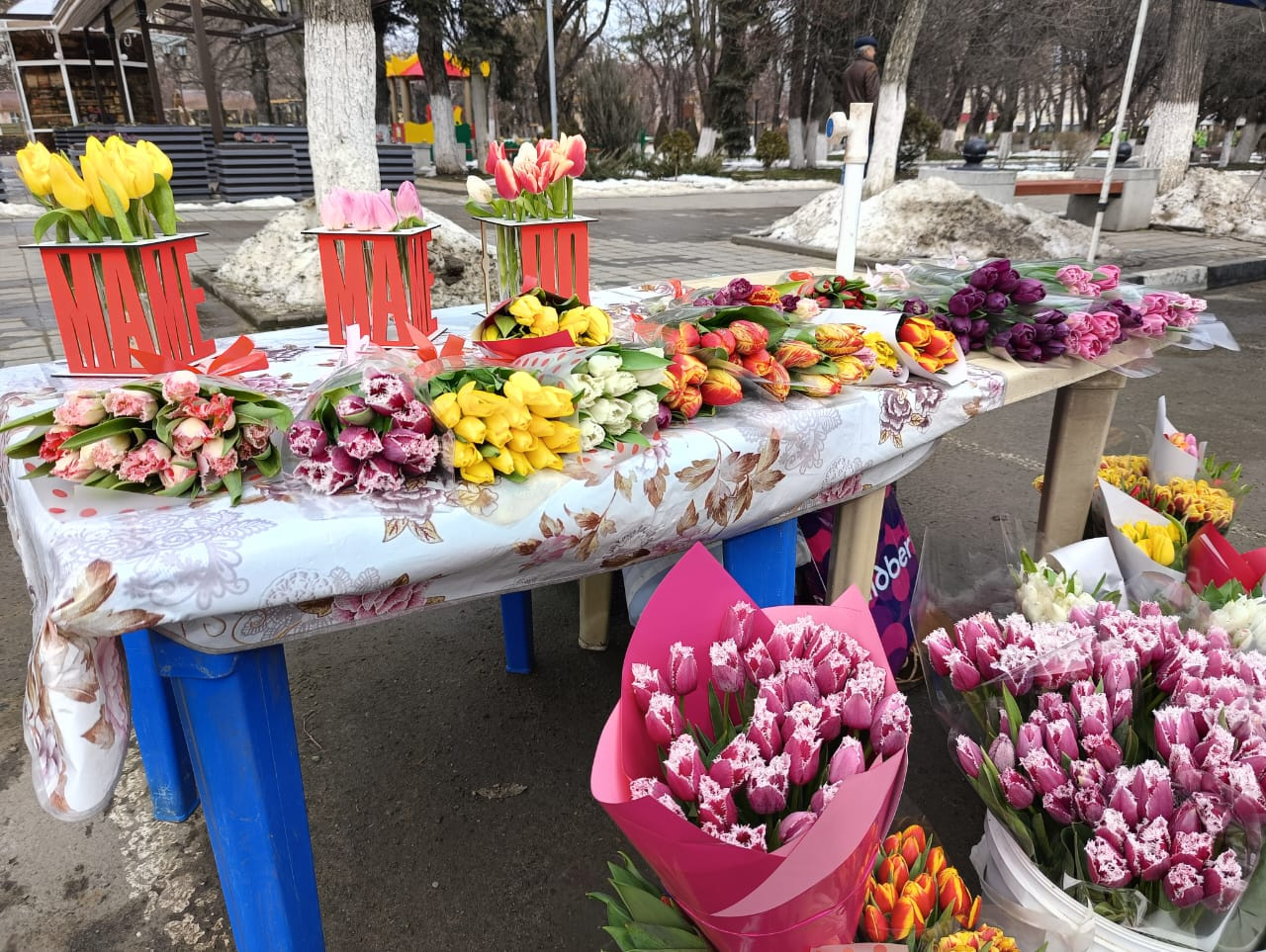 Тюльпаны по цене от 100р можно купить на цветочной ярмарке в Армавире 