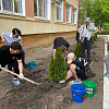 Ученики школы № 4 Армавира высадили 21 тую в рамках акции «Сад Памяти»