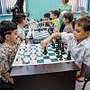 В Армавире 80 юных шахматистов боролись за «Кубок VIP» 