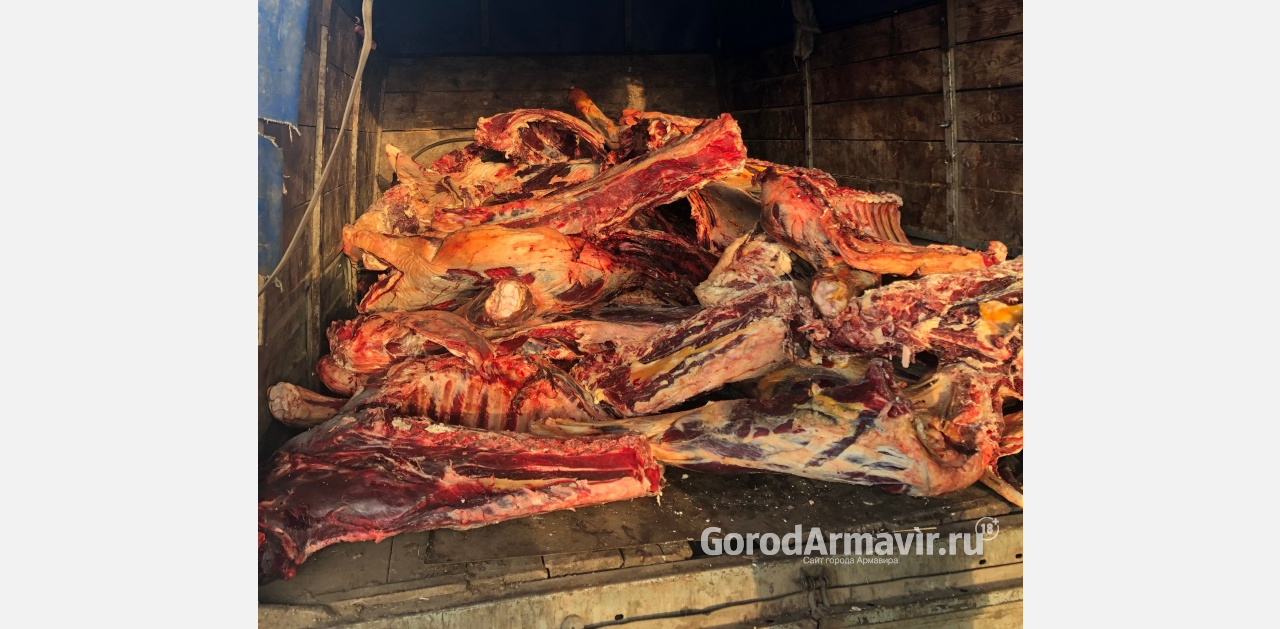 Более 1,5 тонн сомнительного мяса пытались провезти через пост ДПС в Успенском районе 