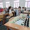 В Армавире более 70 ребят до 9 лет стали участниками Первенства Краснодарского края по шахматам 