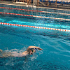 В Армавире участниками Первенства по плаванию стали около 100 детей