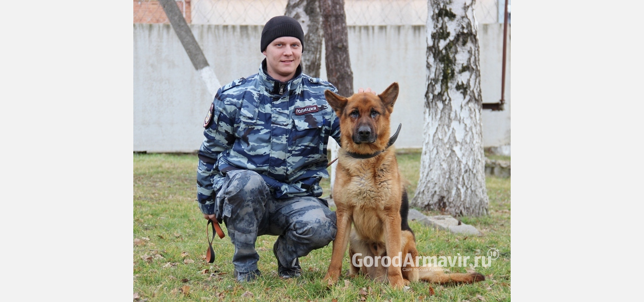 Служебный пес Ганс помог найти угнанный Nissan на Кубани 