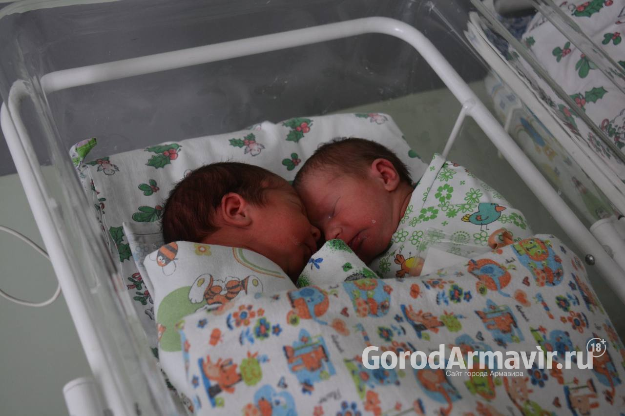 Армавир занимает 4 место в крае по количеству новорожденных с начала 2024 года