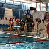 В Армавире участниками Первенства по плаванию стали около 100 детей
