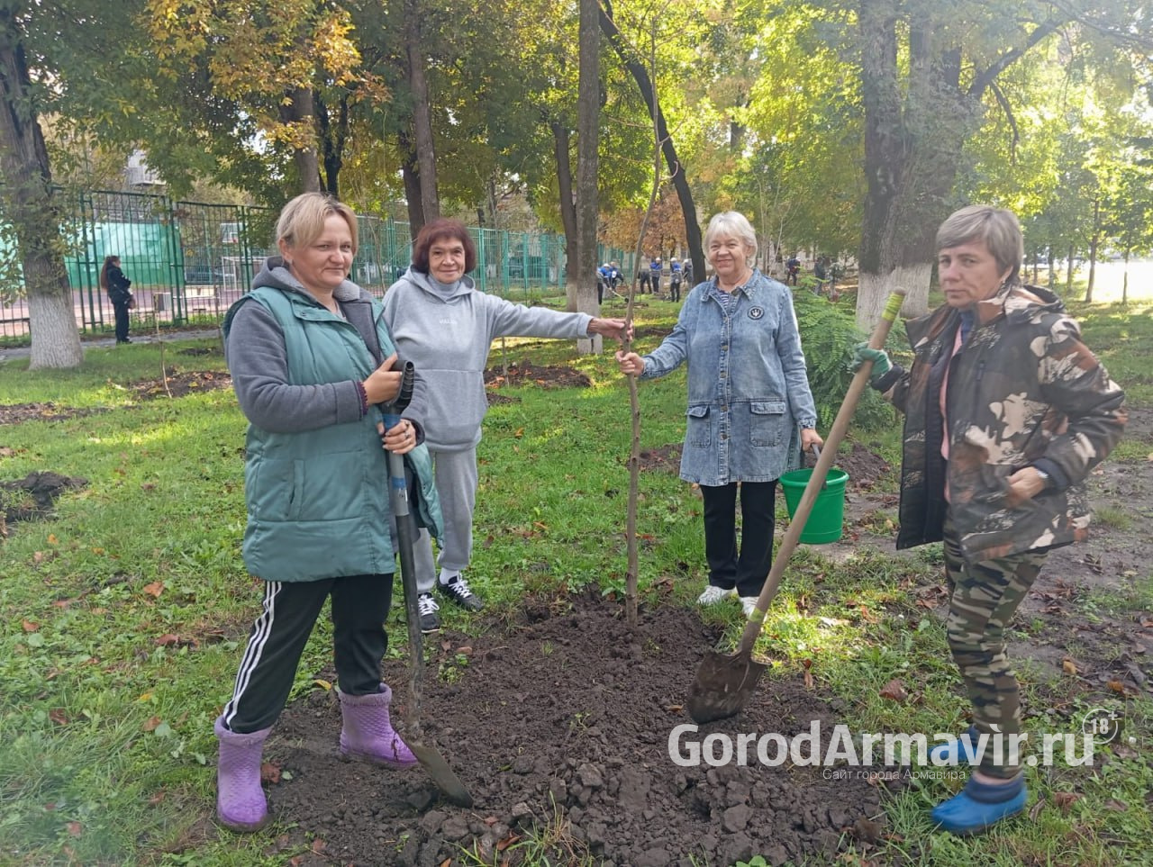 В Армавире во время экоакции высадили 50 лип