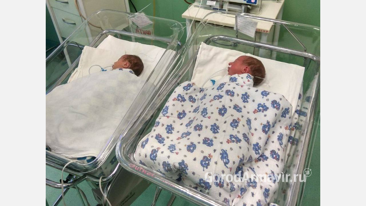 В Армавире за сутки родились 12 детей