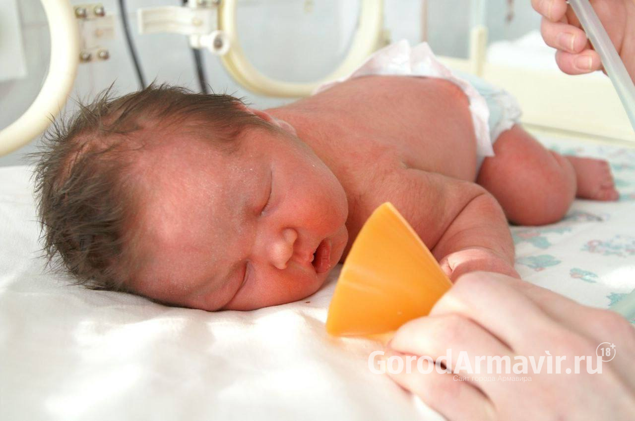 В Армавире родилось 15 малышей и 1 двойня 