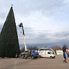 В Армавире на главной площади установят новую 25-метровую ель со световыми композициями