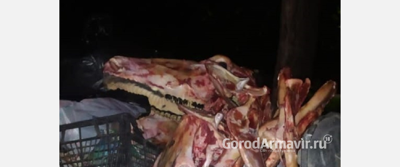 В Армавире мужчина выбросил в мусорный контейнер черепа животных 