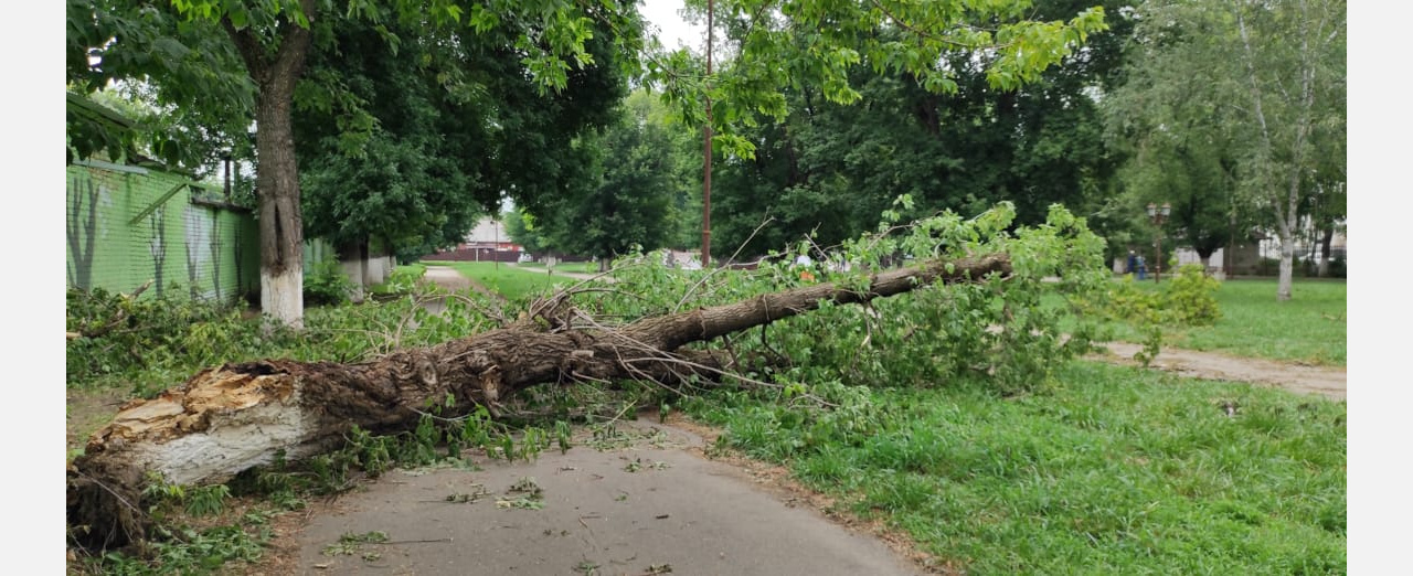 В Армавире из-за сильного ветра произошли обрывы линий электропередач