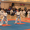 В Армавир бороться за Кубок краевой Федерации тхэквондо МФТ приехали 313 спортсменов