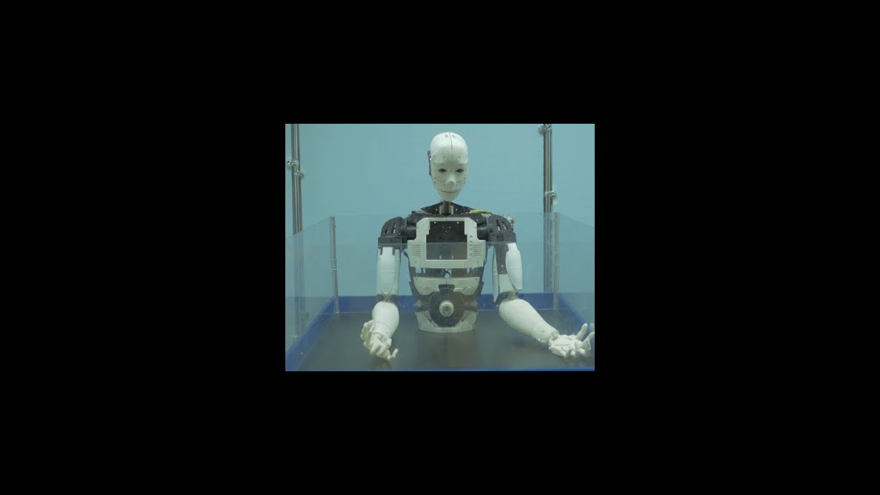 Робостарс | Выставка роботов | Армавир