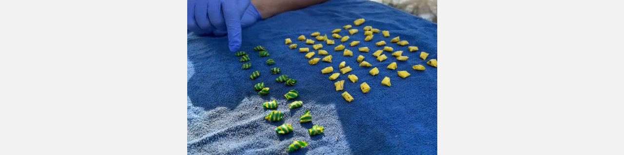 В Армавире с начала года полиция изъяла более 8 кг наркотиков 