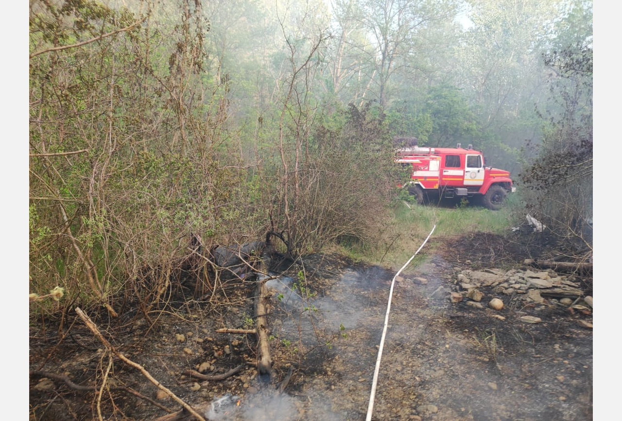 Лесной пожар на площади в 1 га потушили огнеборцы в поселке под Армавиром 